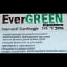 Logo Evergreen Impresa di Giardinaggio