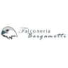 Logo Falconeria Bergamotti S.r.l.s.