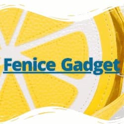 Fenice Gadget