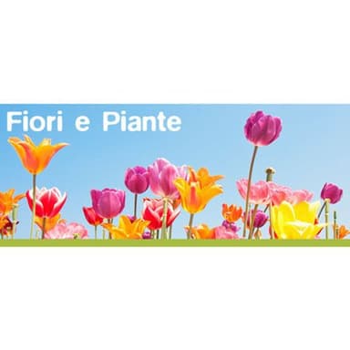 Fiori e Piante Anna e Monica