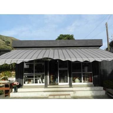 Fiori & Piante Vezzosi Luigi