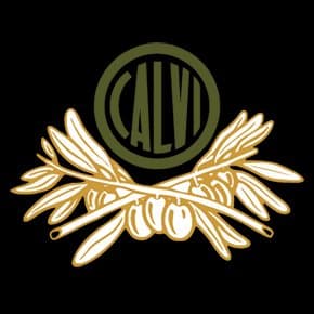 Giuseppe Calvi & C. srl