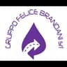 Logo Gruppo Felice Brandani