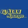 Logo Gruppo Gavi Srl