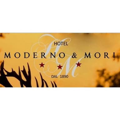 Hotel Moderno***