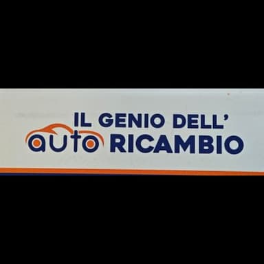 Il Genio Dell’ Autoricambio