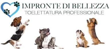 Impronte di Bellezza di Porro Davide