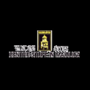 Inserti a Legna Centro Stufe e Camini Vandini