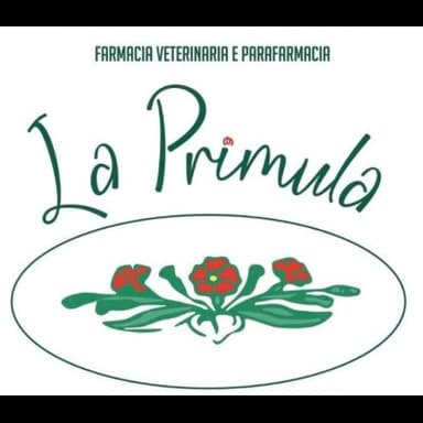 La Primula