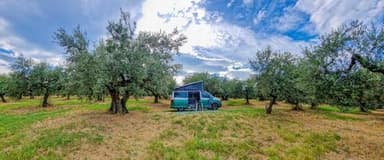 Las Hamacas Camping Abruzzo