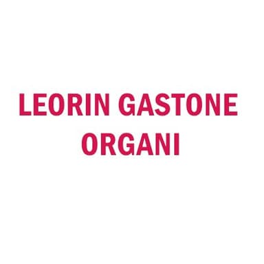 Leorin Gastone Organi