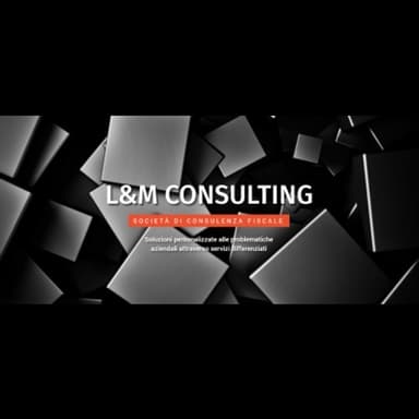 L&M Consulting