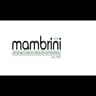 Logo Mambrini S.a.s.