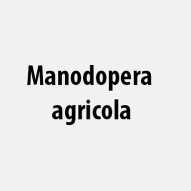 Manodopera agricola