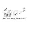 Logo Melasuonoemelacanto