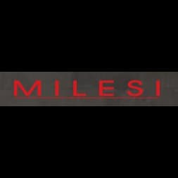 Milesi- Work And Fashion