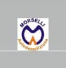 Logo Morselli Autodemolizione