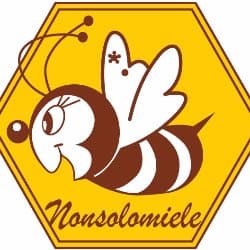 Nonsolomiele