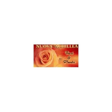 Nuova Achillea Fiori e Piante