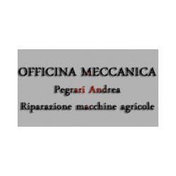 Officina Meccanica Pegrari
