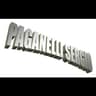 Logo Paganelli Torneria Meccanica