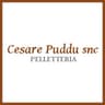 Logo Pelletteria Cesare Puddu