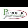 Logo Profer Societa'Cooperativa