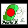 Logo Punto S.
