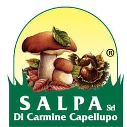 Salpa