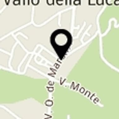 Salus di Vincenzo Guzzo & C.Sas