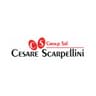 Logo Scarpellini Cesare Group