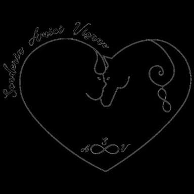 Scuderia Amici Visano