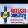Logo Sei2sei Consulting