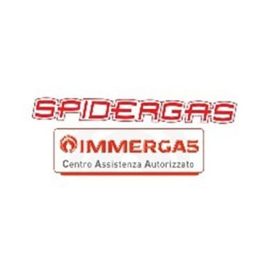 Spidergas Assistenza Immergas