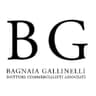Logo Studio Associato Bagnaia Gallinelli
