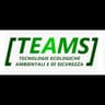 Logo T.E.AM.S.