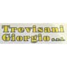Logo Trevisani Giorgio Srl