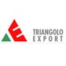 Logo Triangolo Export