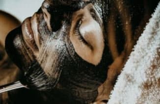 Acconciature Blow Up - Immagine 2