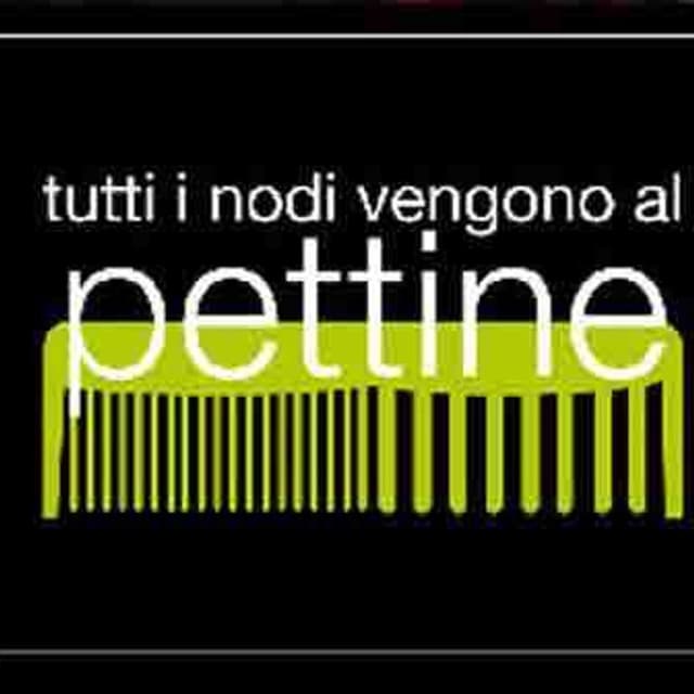 Acconciature Uomo e Donna Tutti I Nodi Vengono al Pettine - Immagine 1