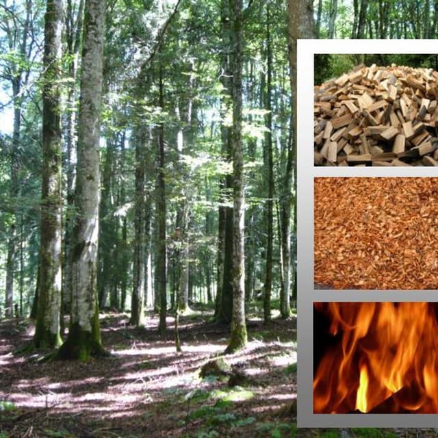 A.D.P. Legnami - Immagine 2