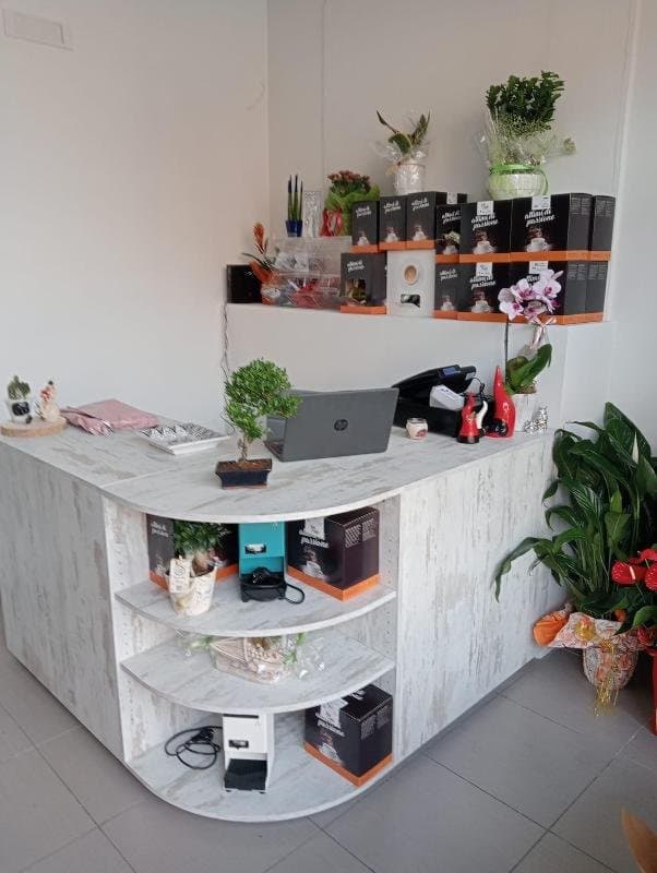 ADR Caffè - Vendita caffè macinato in cialde e capsule - Immagine 1