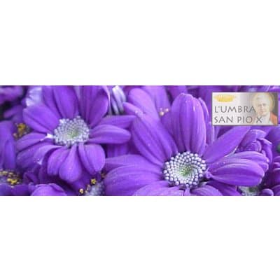 Agenzia Funebre Campriani - Immagine 1