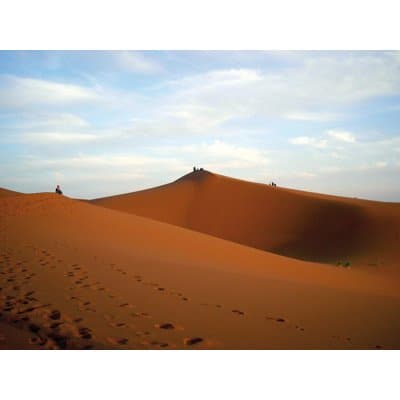 Agenzia Viaggi Speedy Gonzales - Immagine 1