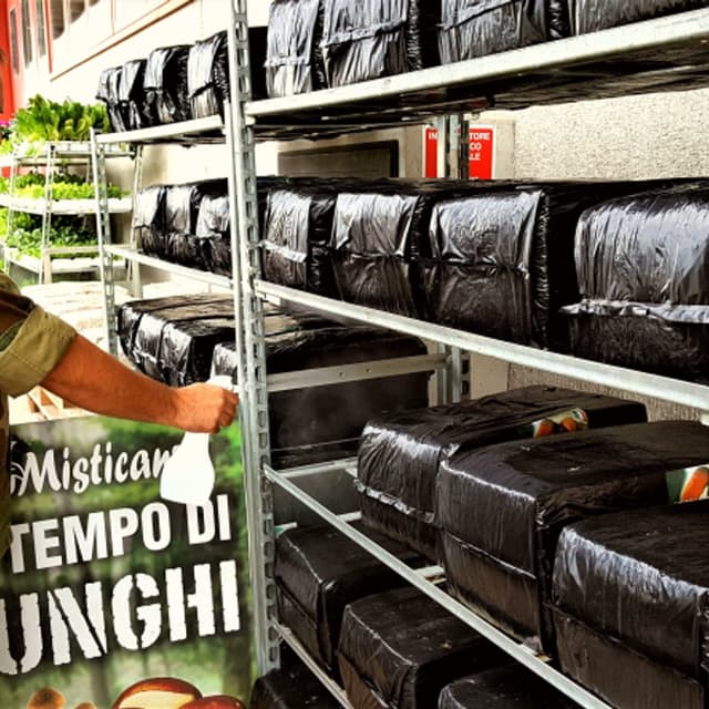 Agraria L'Altra Misticanza - Immagine 1