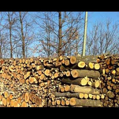 Agricola Simionato Pellet e Legna da Ardere - Immagine 1