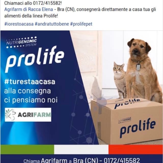 Agrifarm - Racca Elena - Servizi per Animali Domestici - Immagine 2