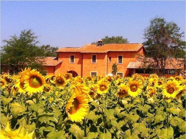 Agrinido e Agrimaterna Il Girotondo - Immagine 1