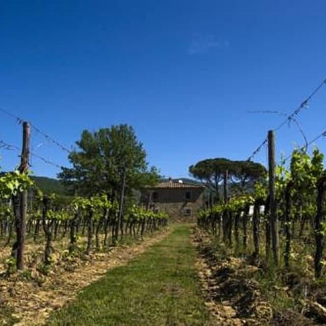 Agriturismo La Concezione Tenute di Fraternita - Immagine 2