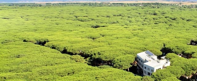 Albergo Ristorante Rosmarina - Immagine 1